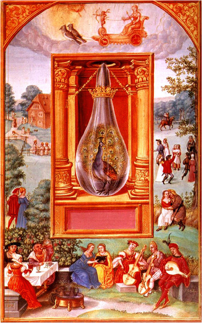 The-peacock-stage-as-a-symbol-of-one-of-the-steps-in-alchemy-when-the-contents-of-the